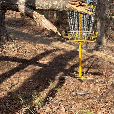 Alternate back 9 / Wilson