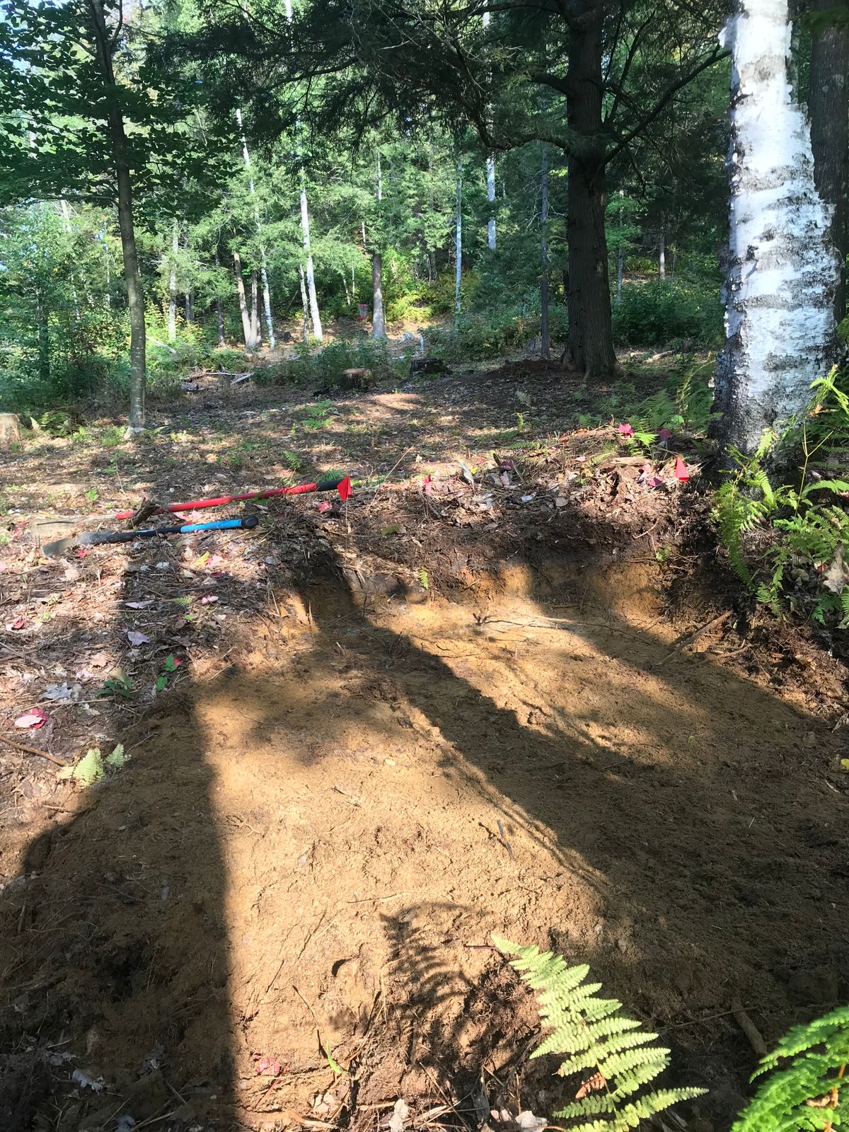 Hole 12 short tees