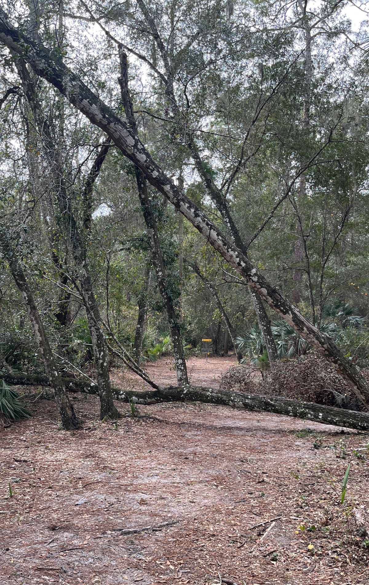 Hole 4 gap