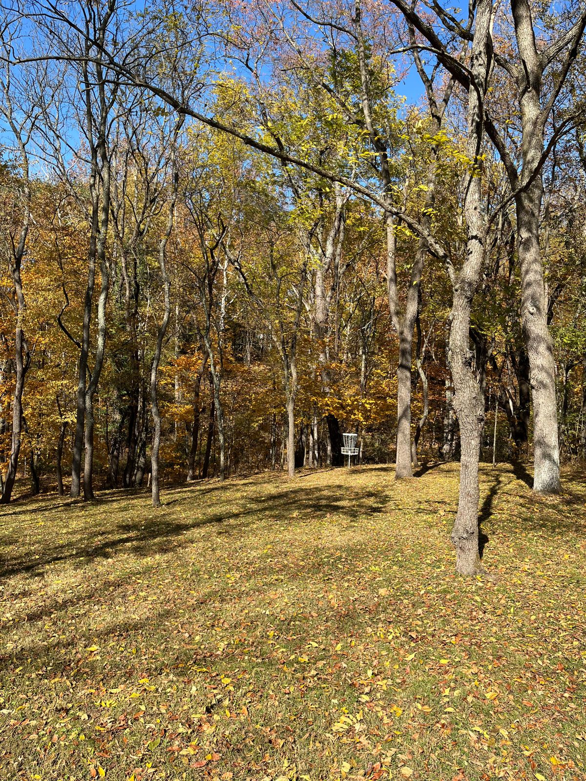 Hole 1 basket