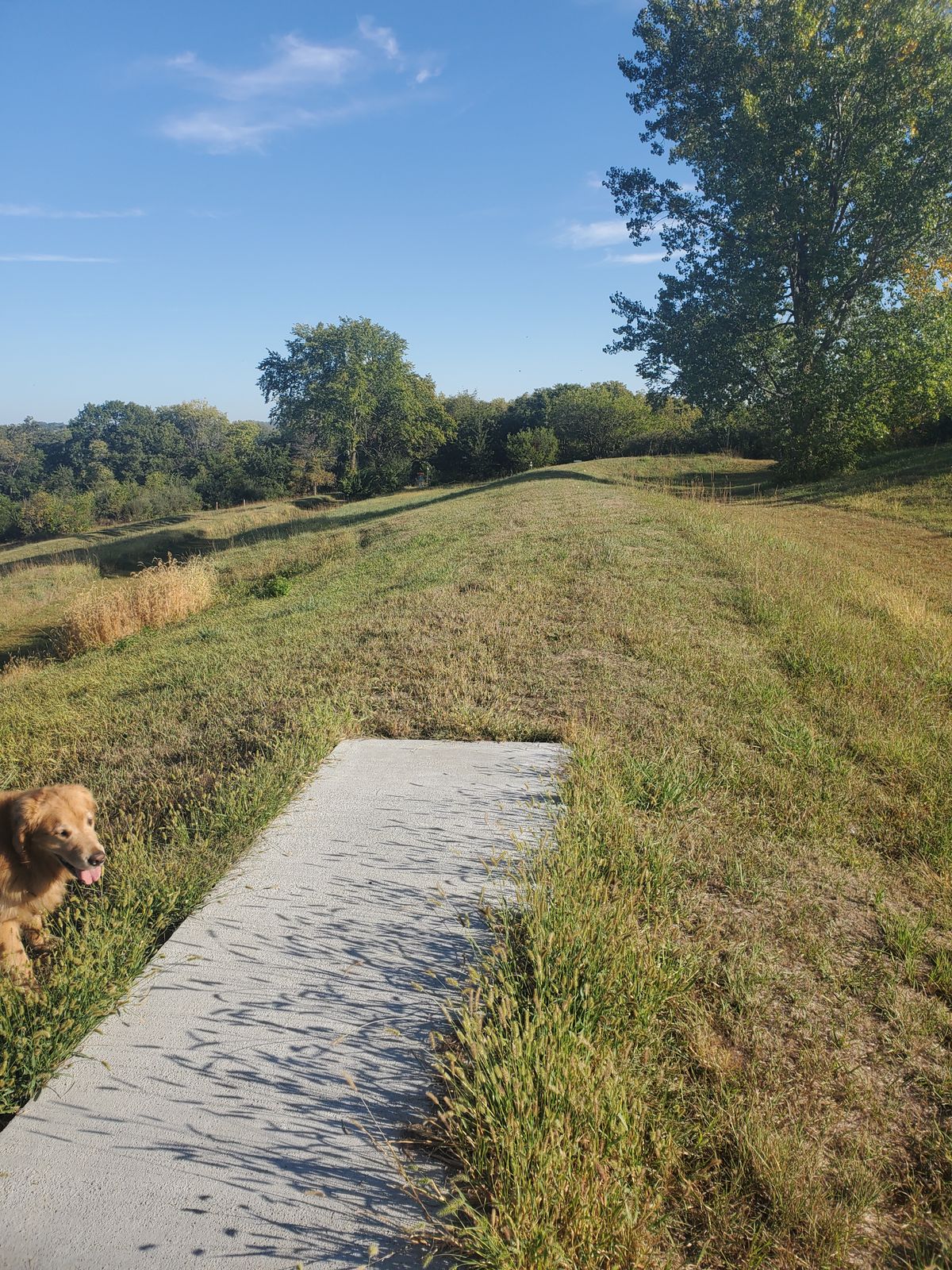 Hole 9