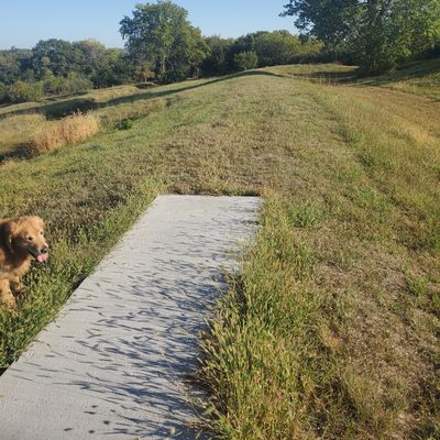 Hole 9