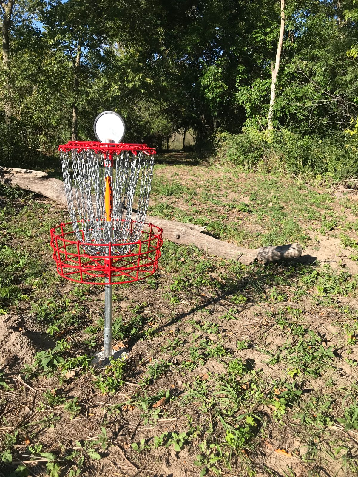 Hole 3 Basket Looking Back