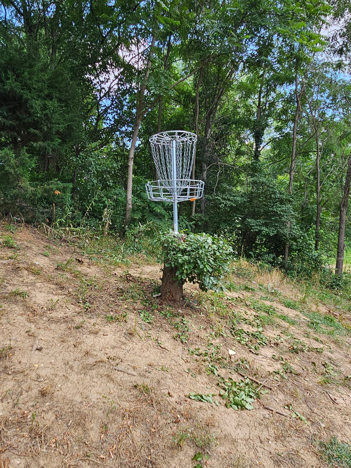Hole 8