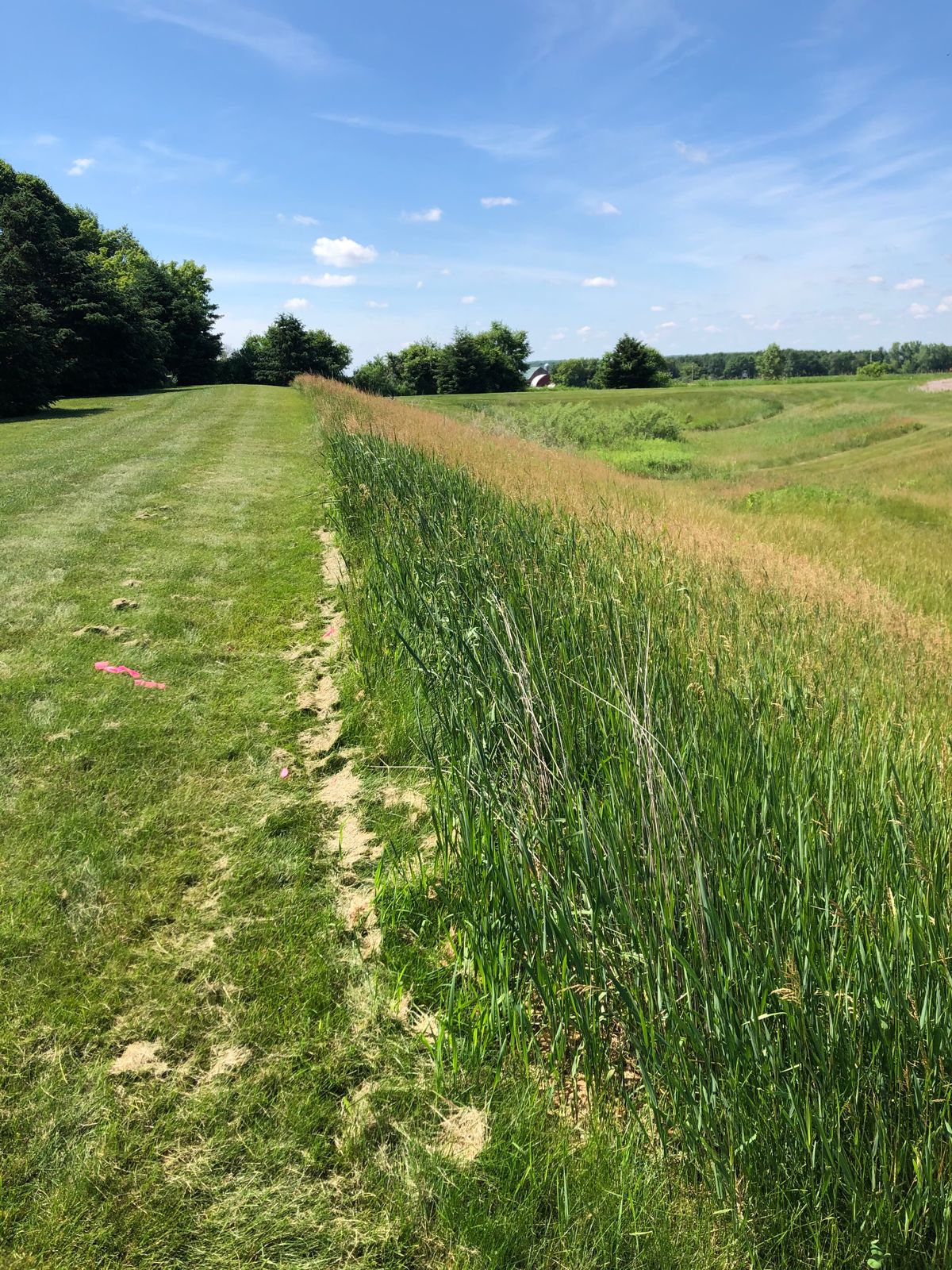 Assumed Tee for 3