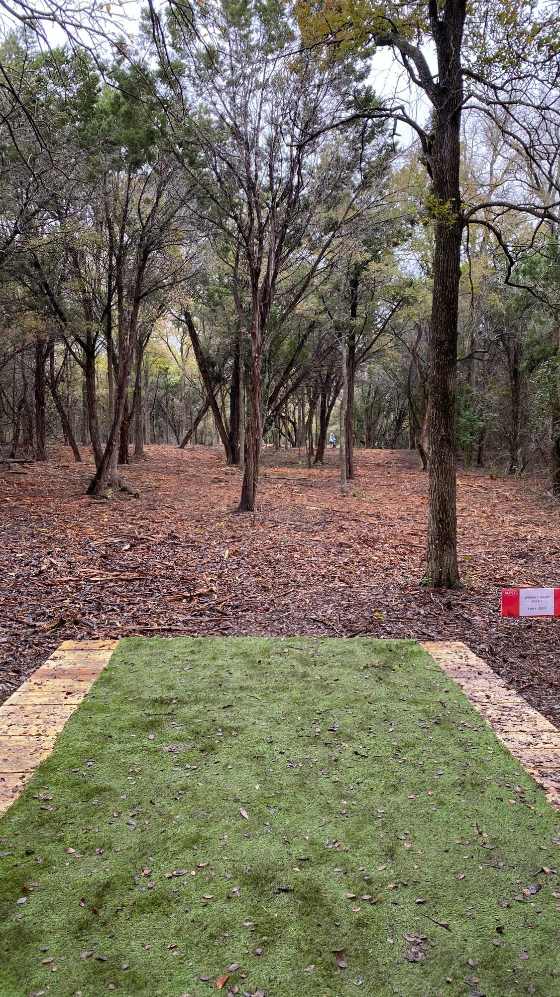 Tee box of hole 7. Choose the left or right gap. Either way it’s a tough par 4.