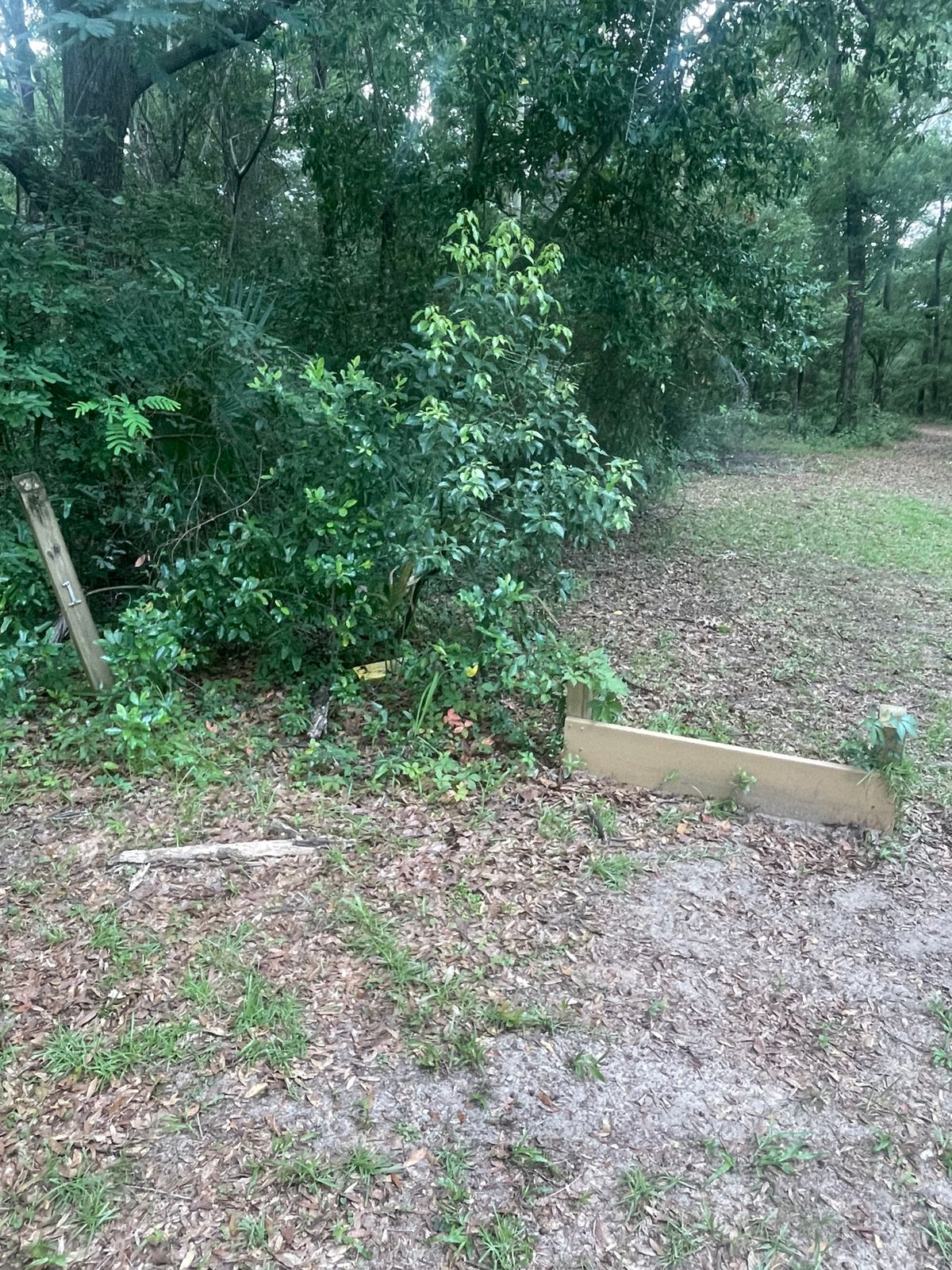 Hole 1 “tee”