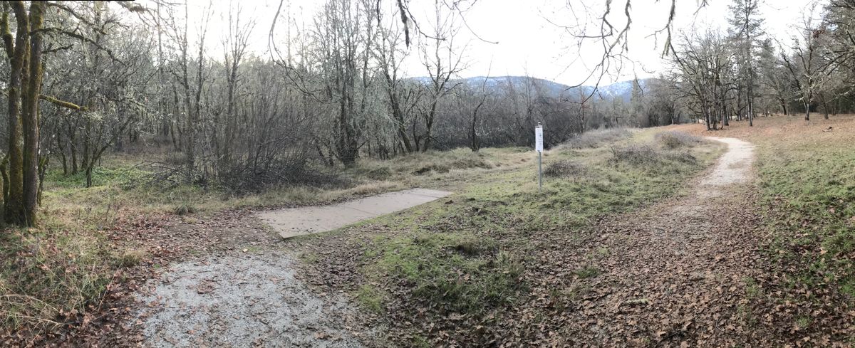 Panoramic from 5-6 walkout showing Creek Line/seasonal(winter) wetlands