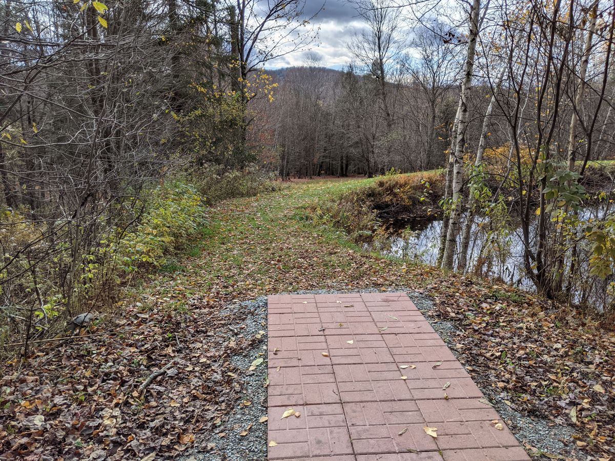 #1 silver tee, around the little pond from the garage