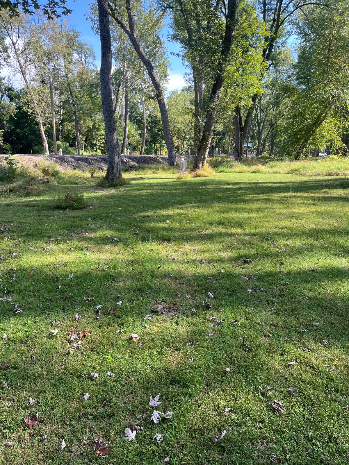 Hole 5 basket