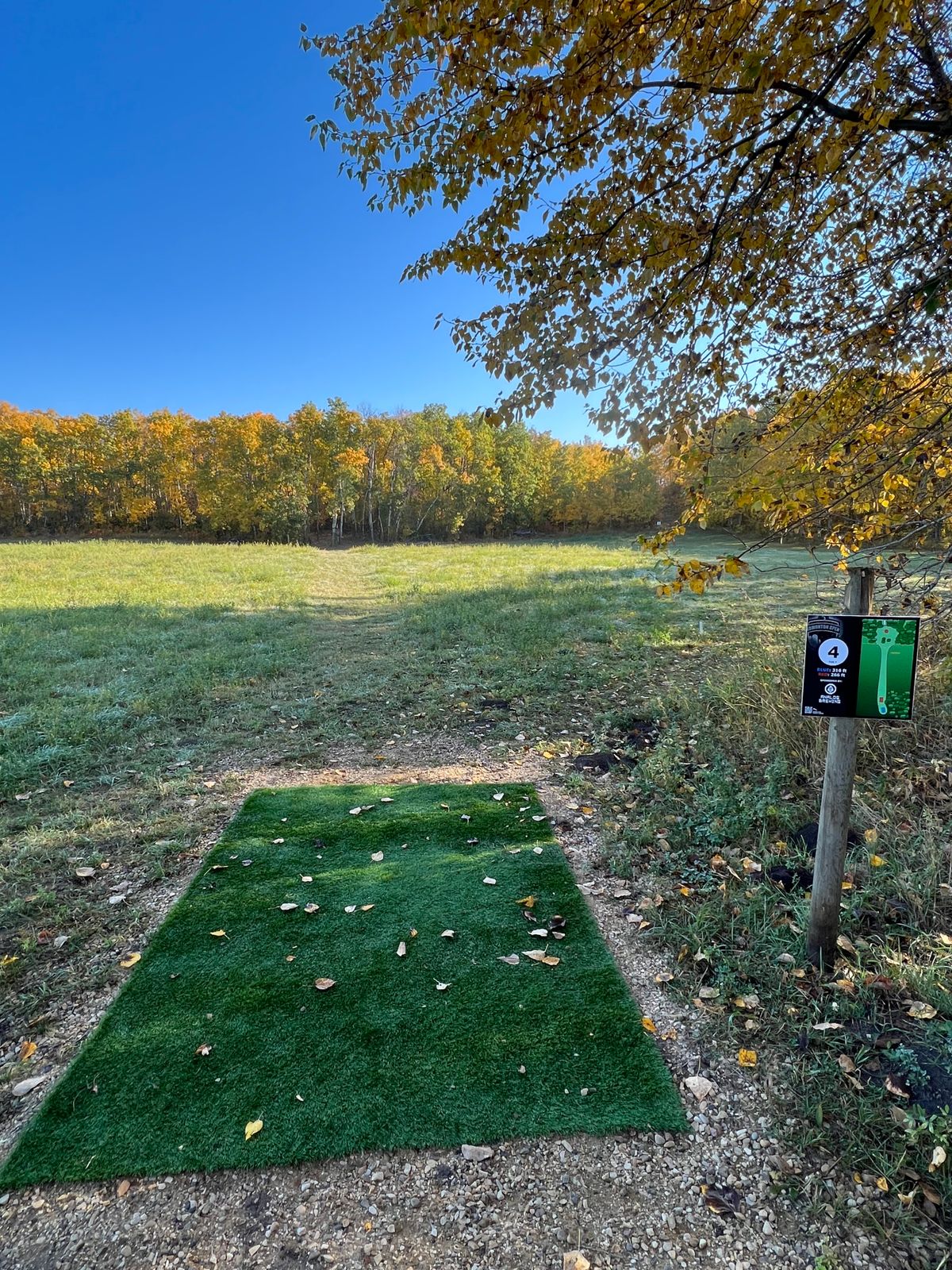 Hole 4 Tee Pad