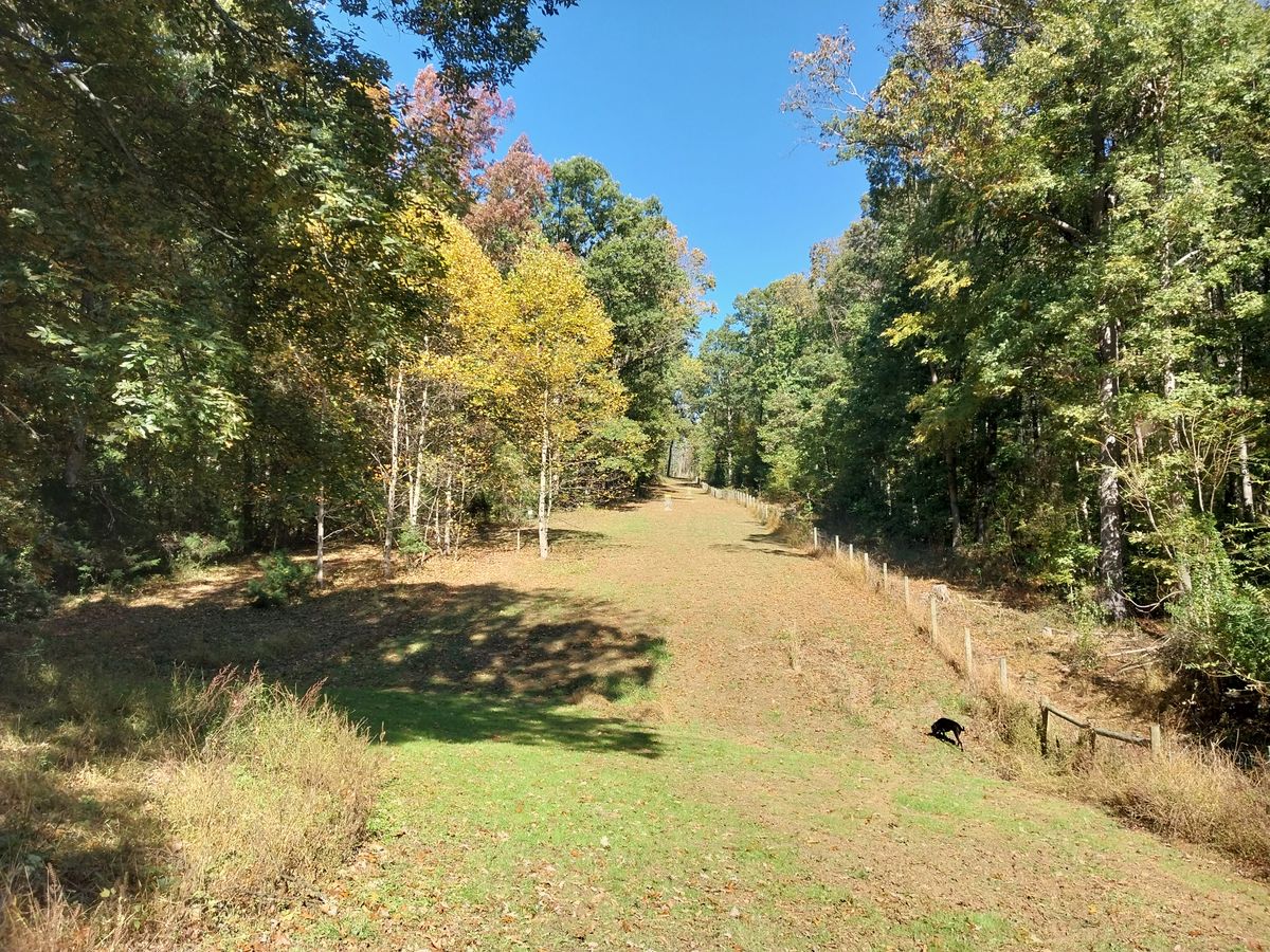 9 fairway