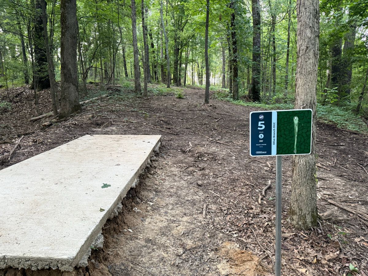 Hole #5