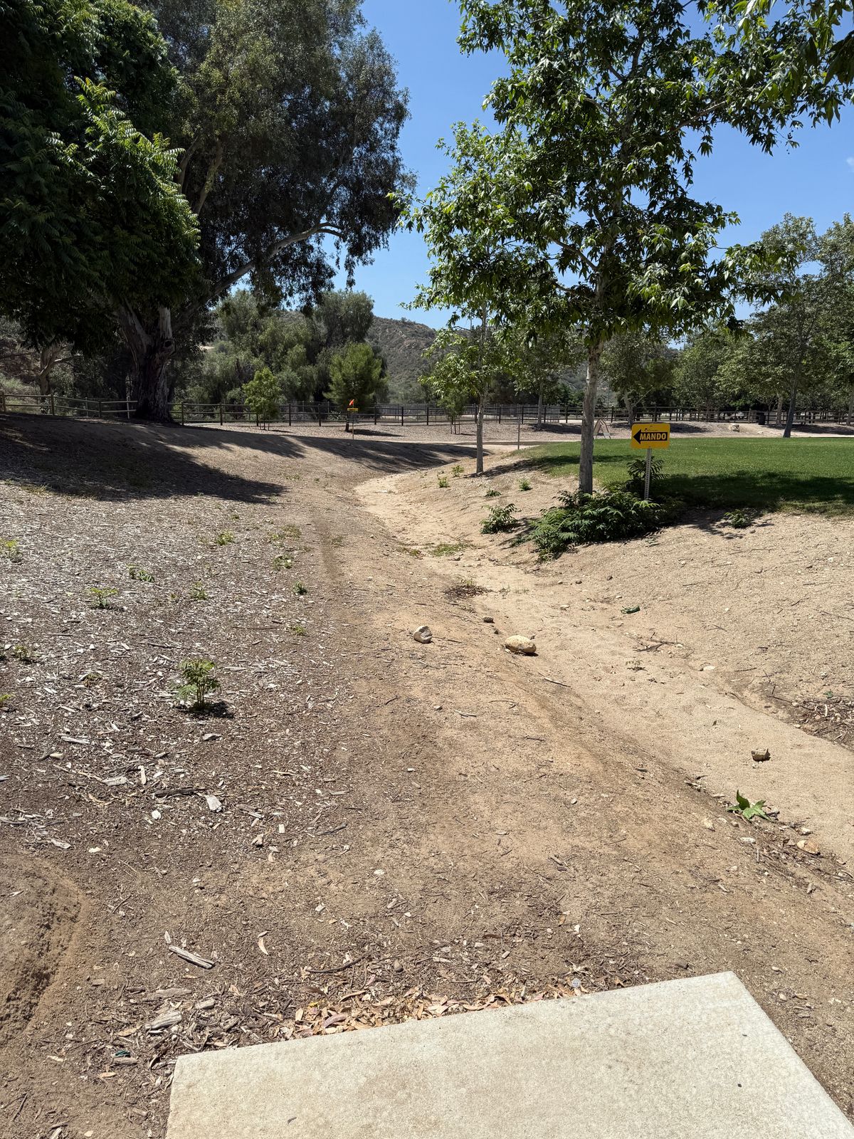 Hole 16 tee