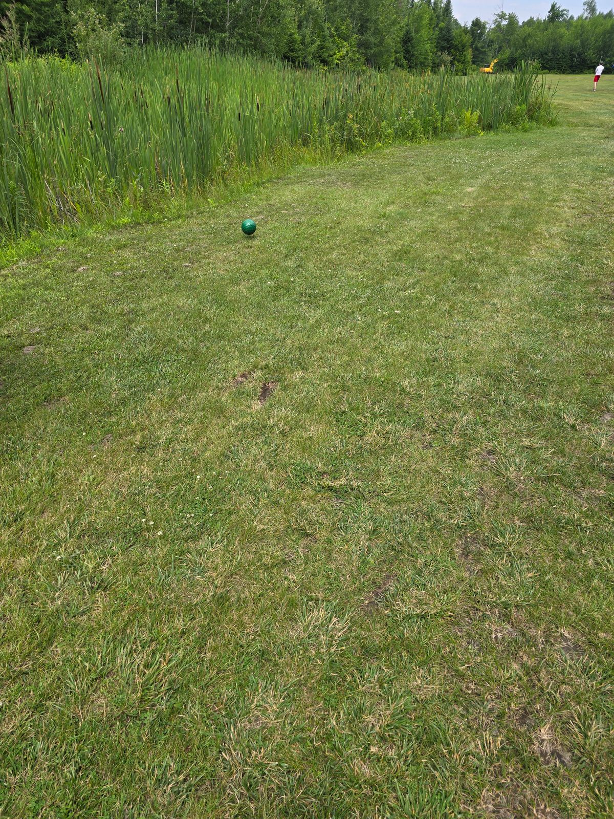 Tee pads are marked with green/brown markers and just grass.