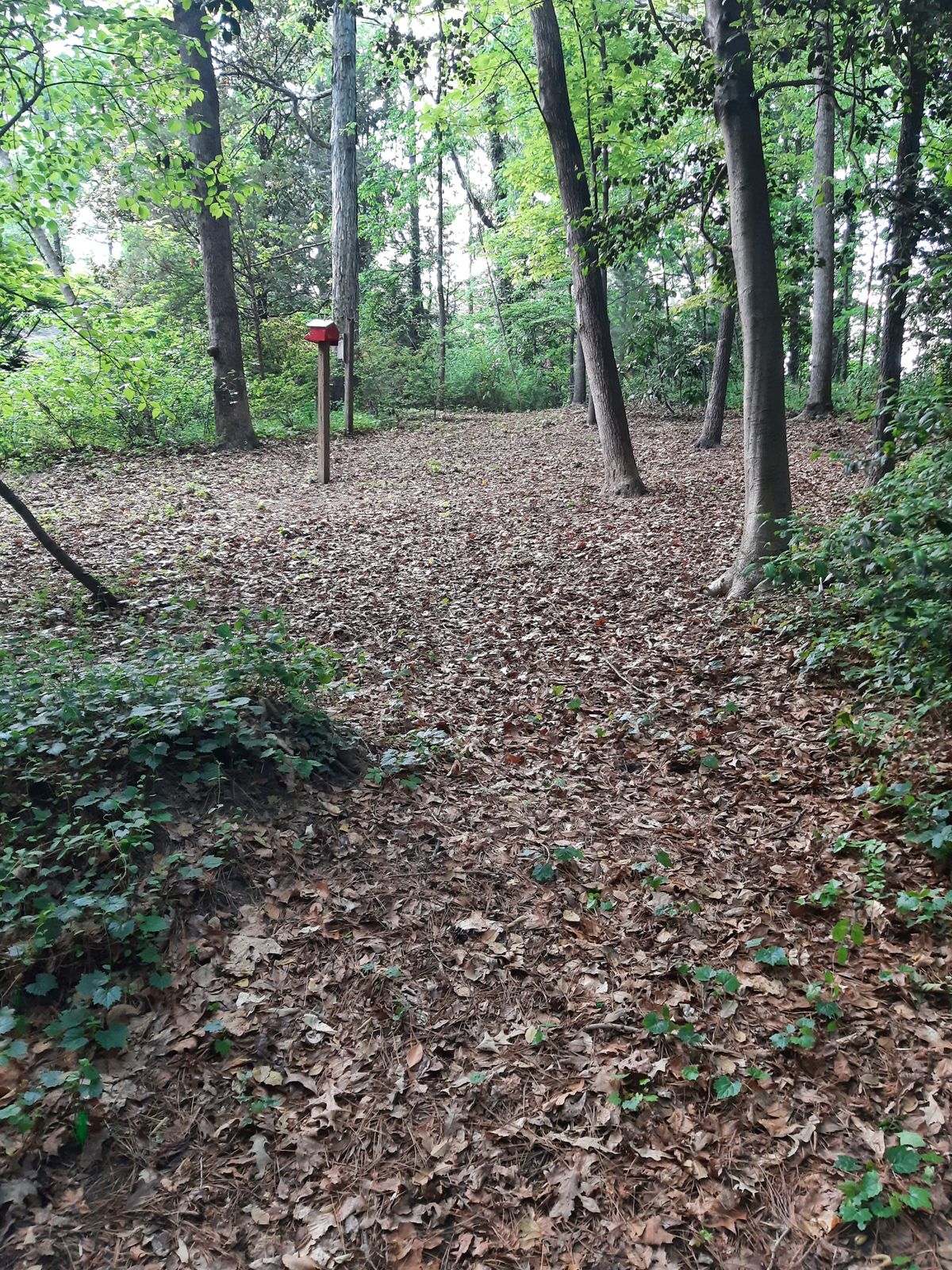 Hole 11 White Tee