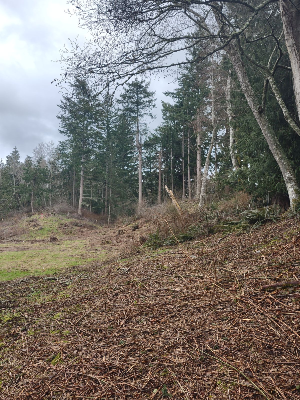 Hole 10