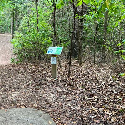 Hole 3