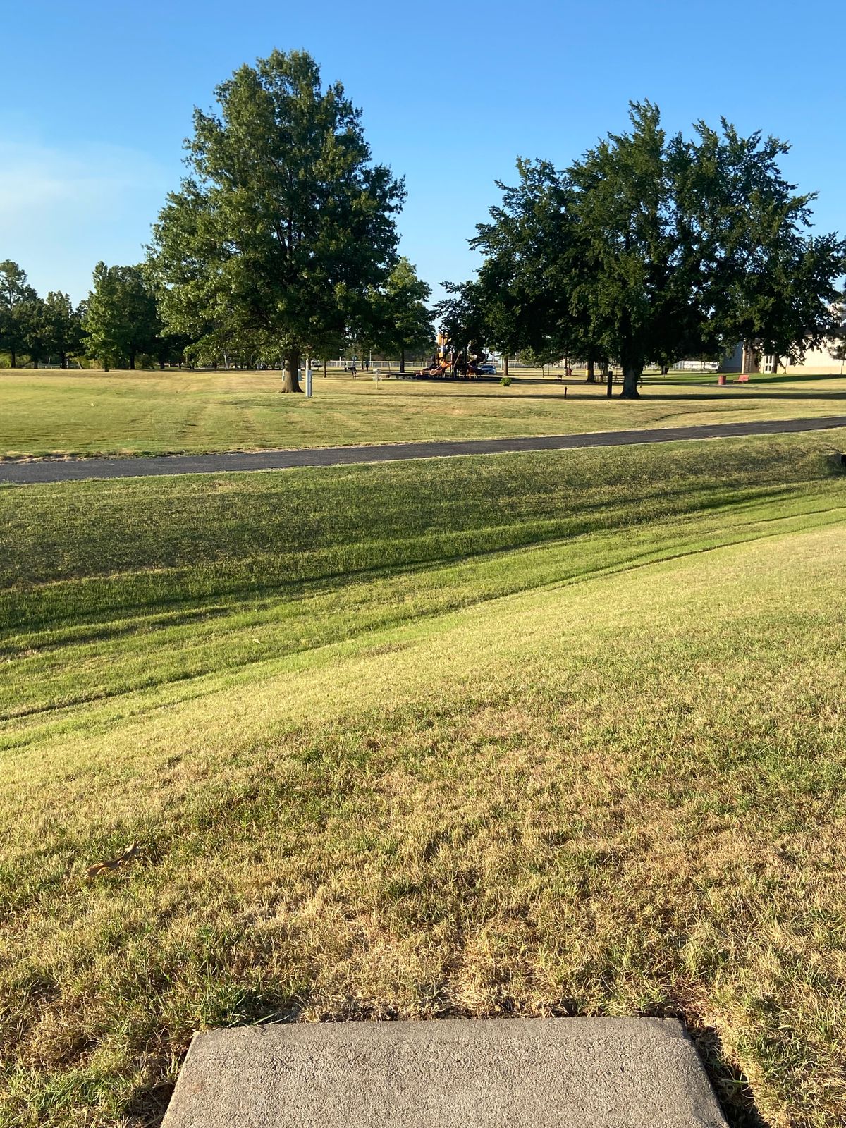 Hole 6 - are you going between the trees or over the trees?