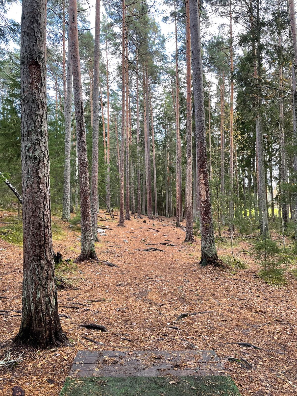 Väylä #10