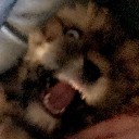 melvinwg