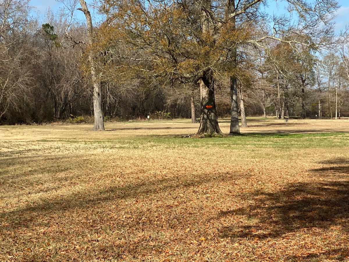 Hole 8 double mandatory trees