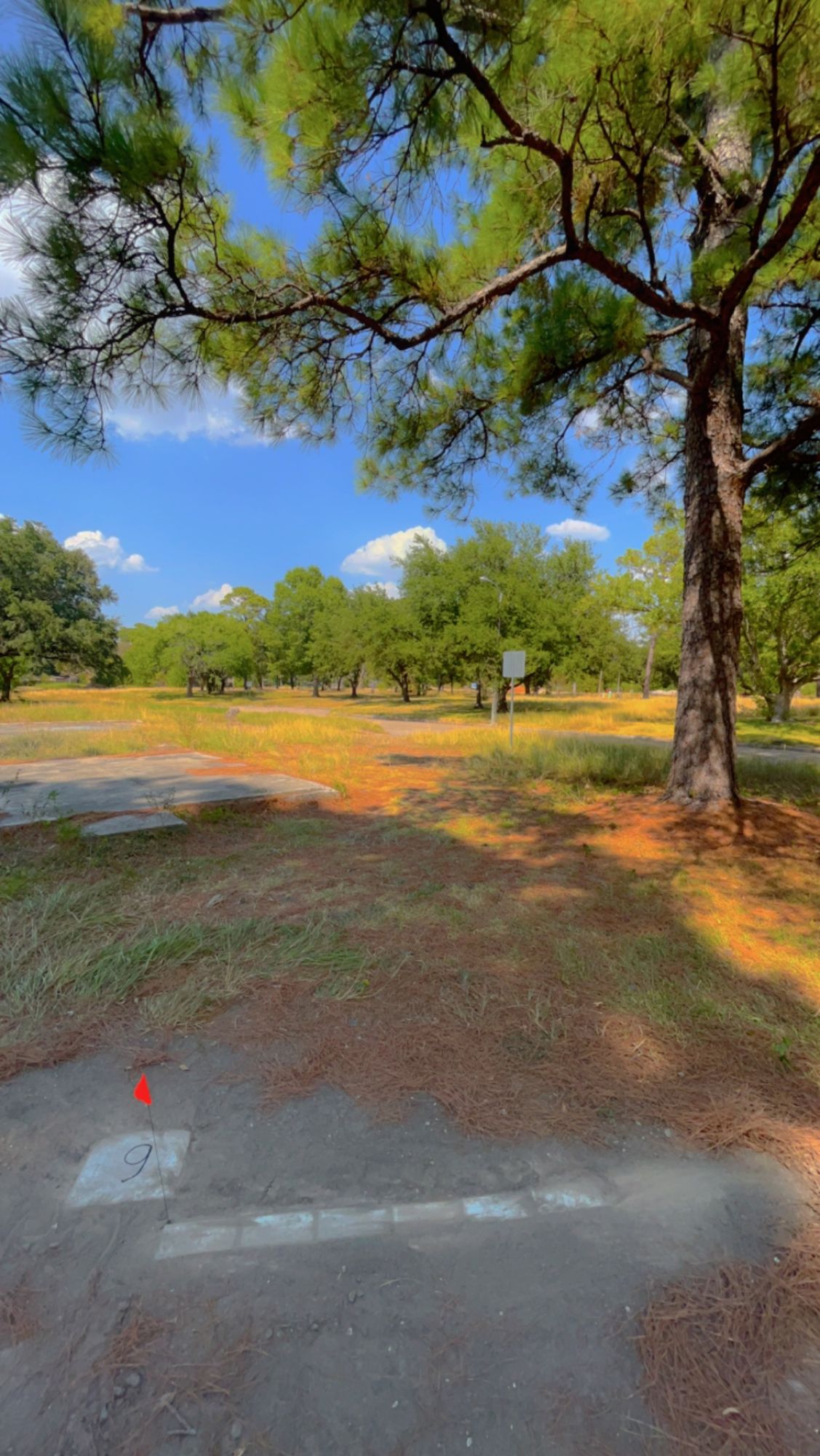 Hole 13 Short Tee 