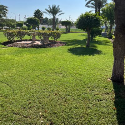 Hole 9 tee location. Tee pad ends with tree on right