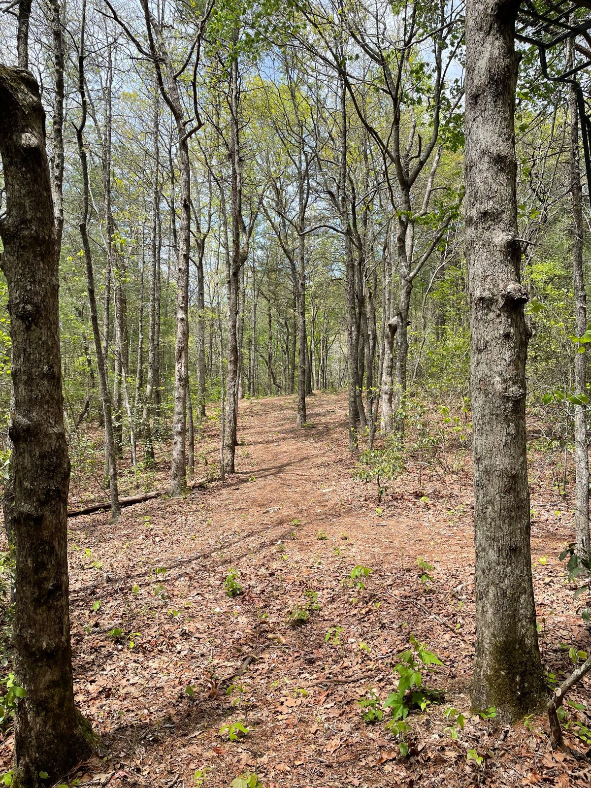 4th tee. 90 degree dogleg right.