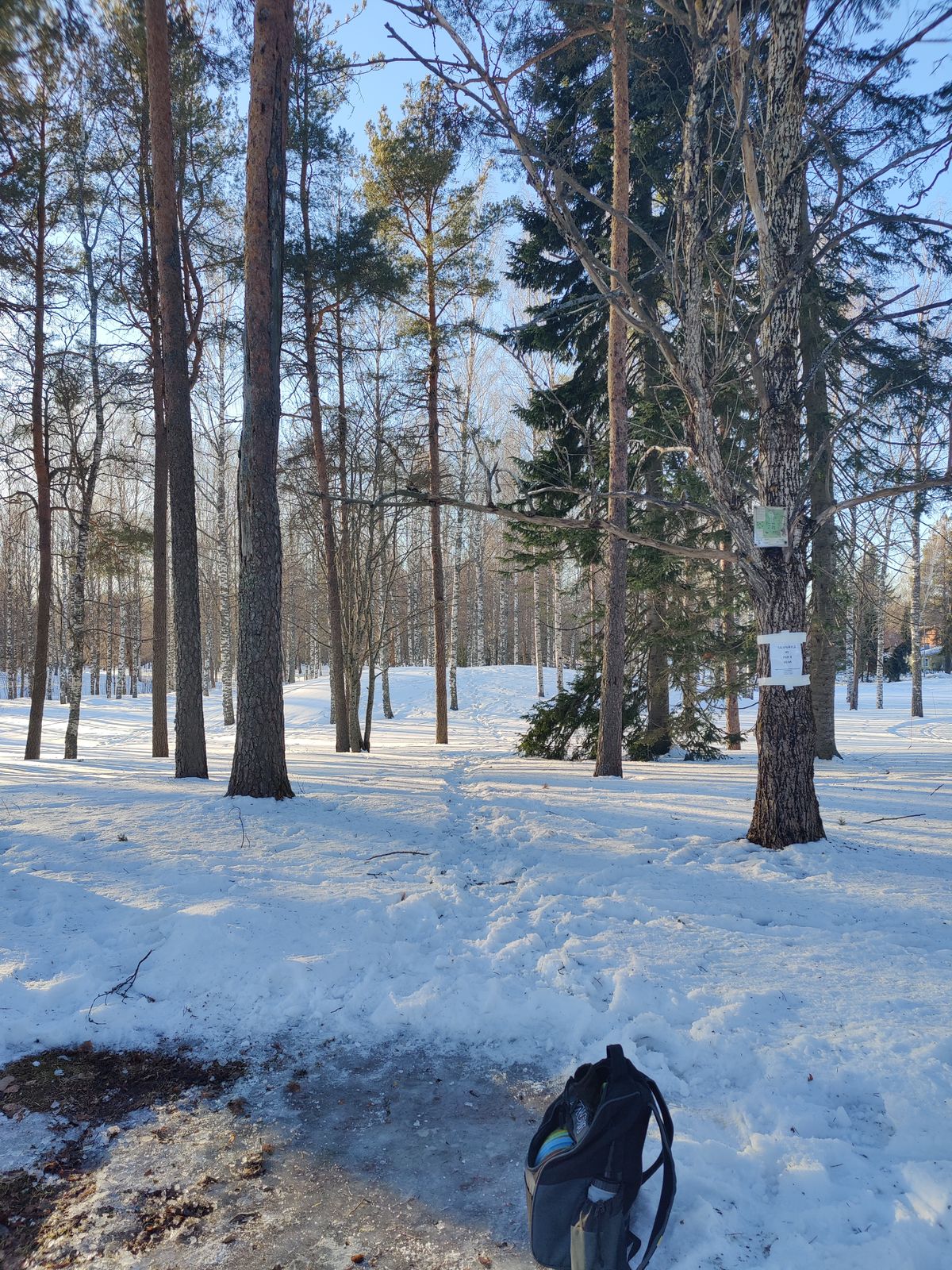 Talvileiskan 5, 60m par3