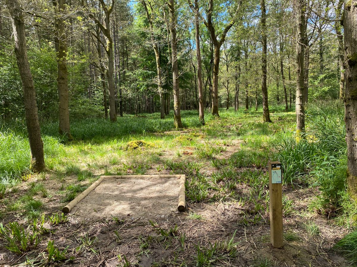 Hole 4 - Long