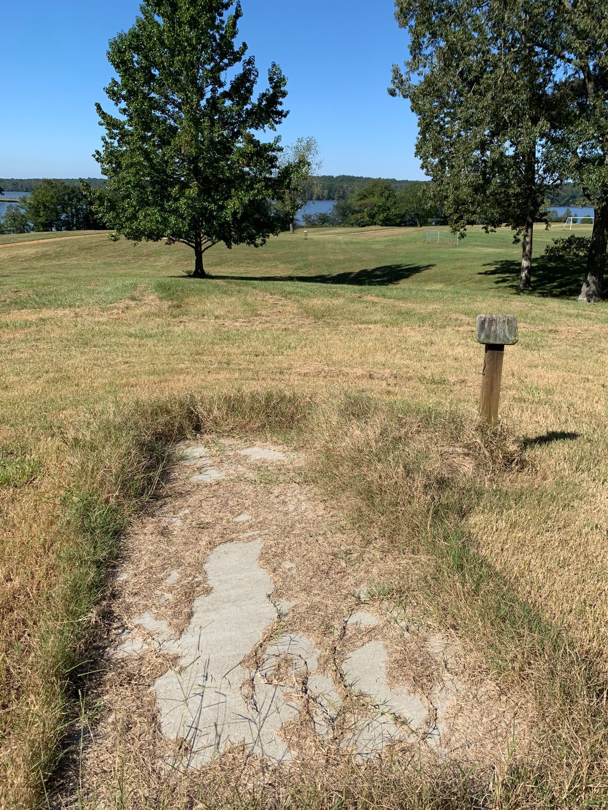 Hole 8. Overgrown tee pad but nice downhill hole with a driving gap between the trees.