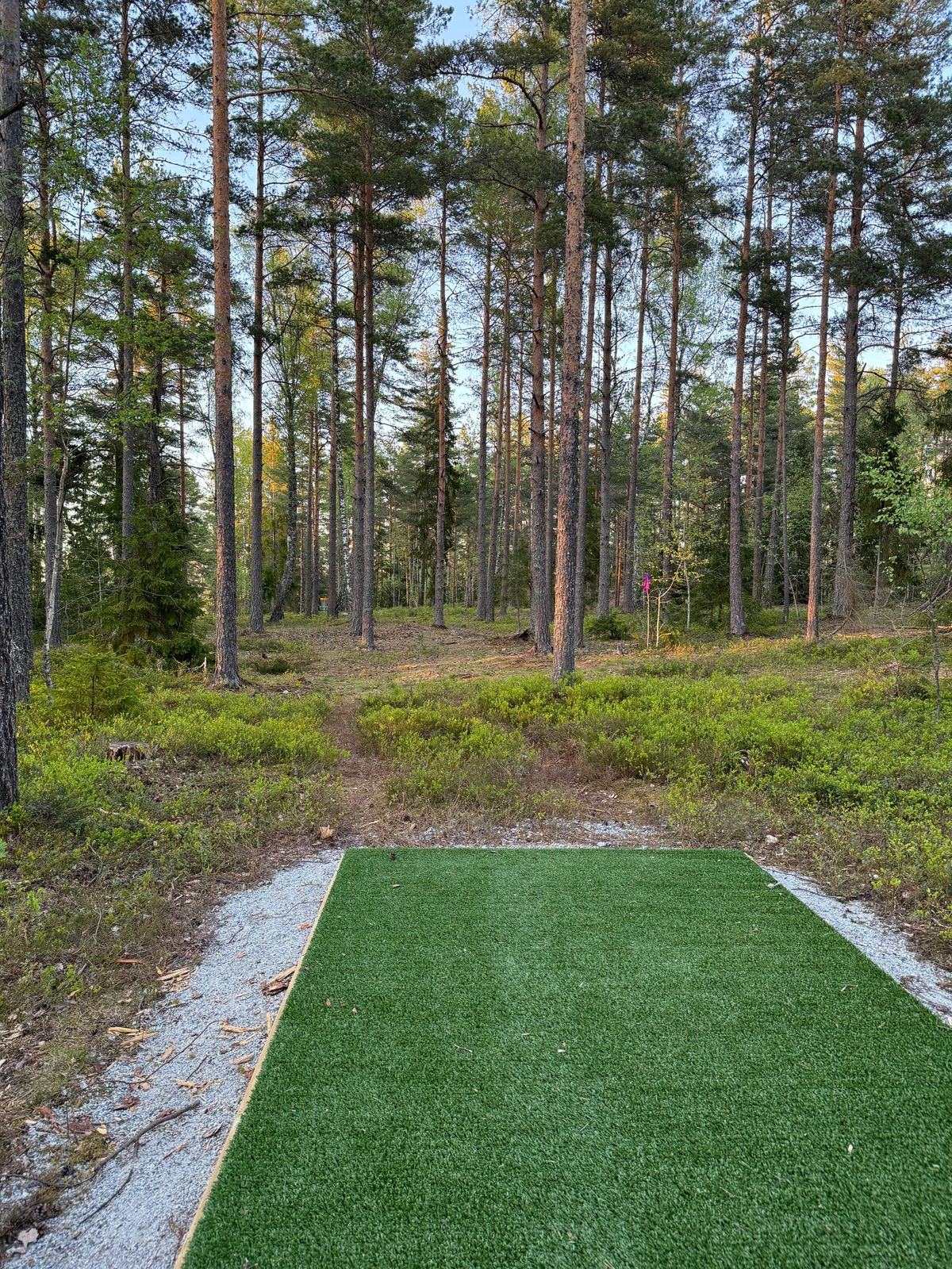 Tee hole 10