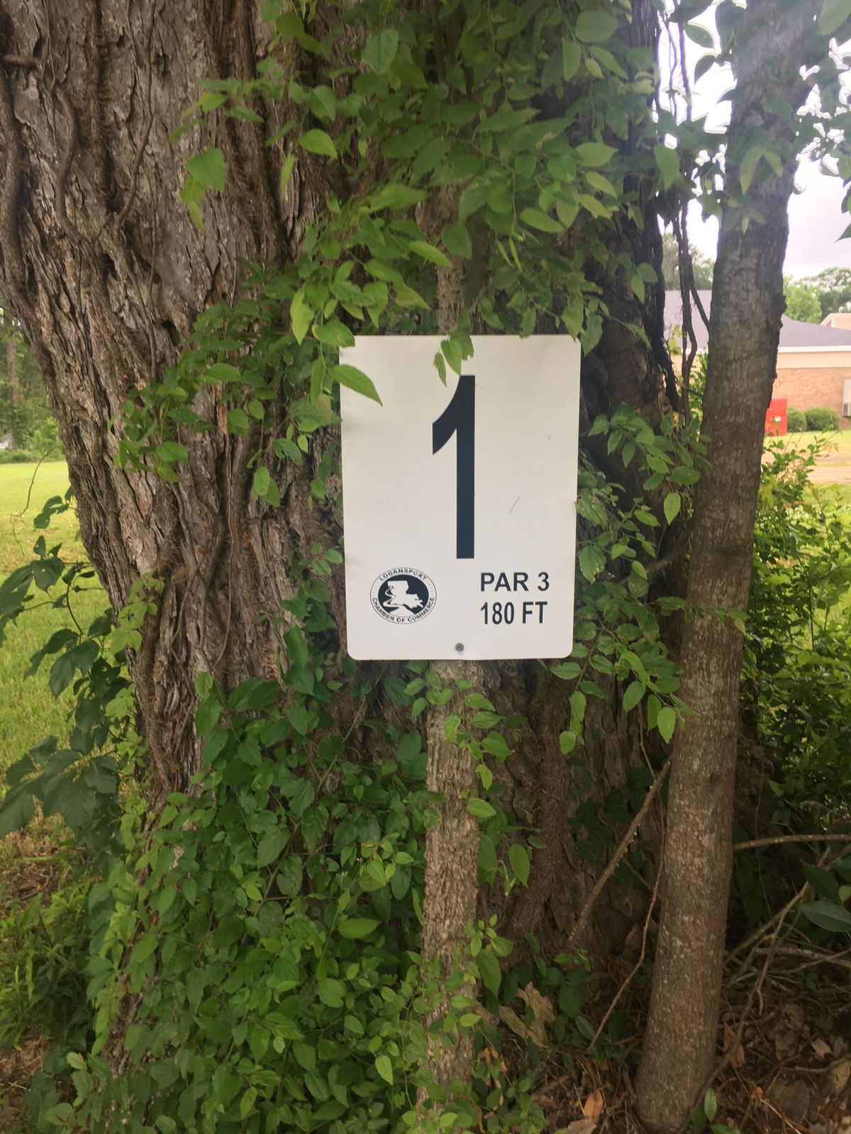 Hole One