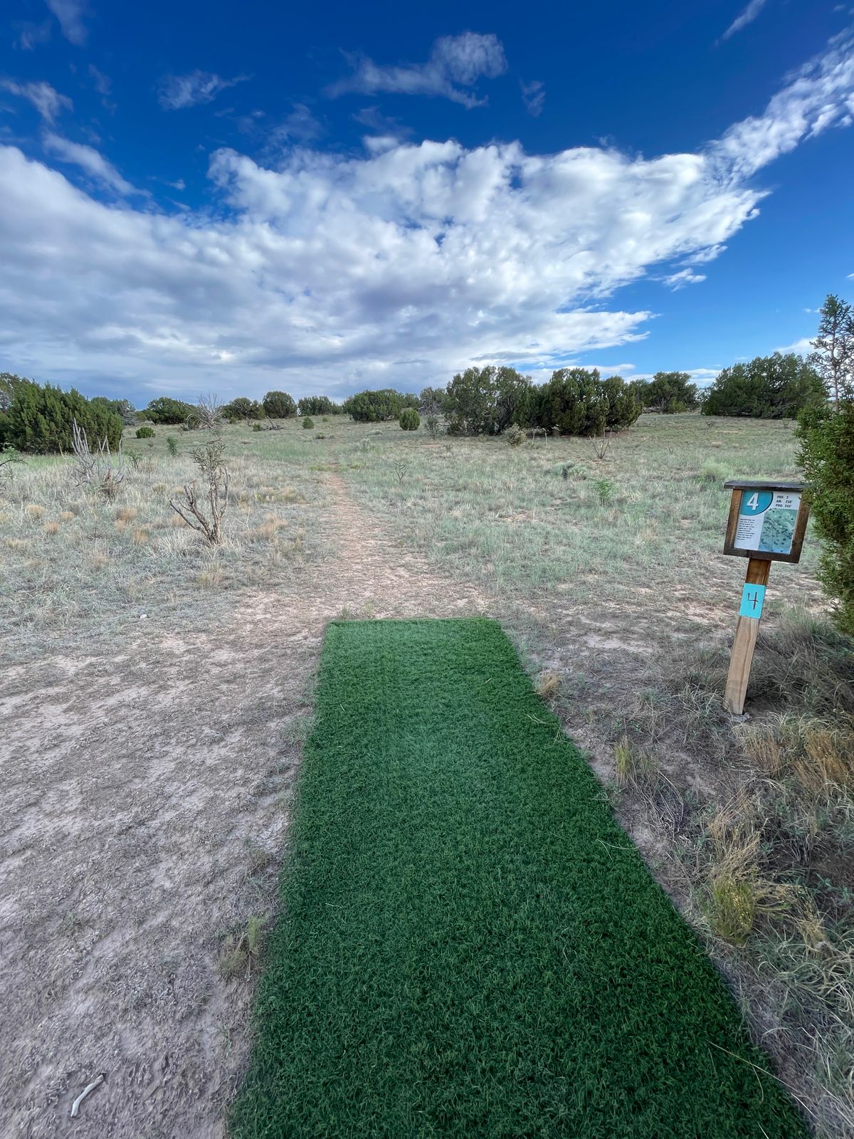 Hole 4 Pro tee pad