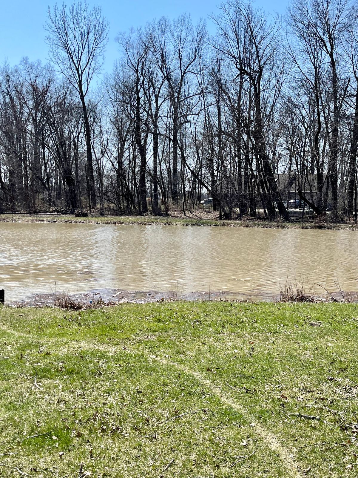 Basket #3. 200’ par 3 over the water