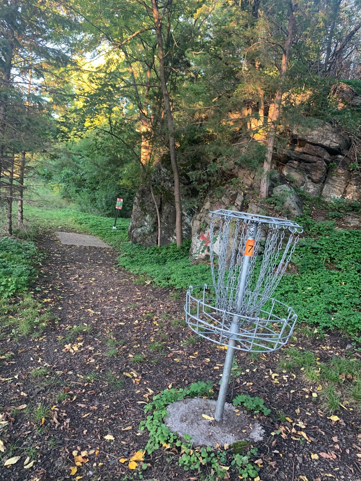 Hole 7 basket.
