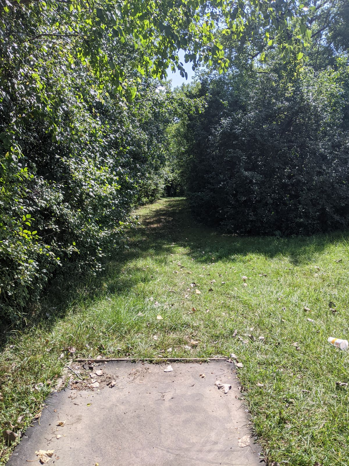 Hole #6