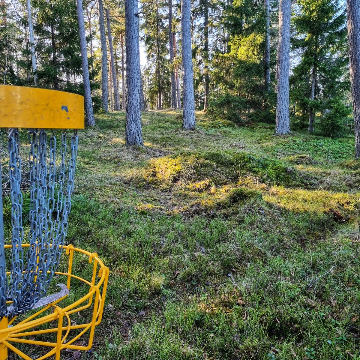 Hål 2 tittandes bakåt mot Tee