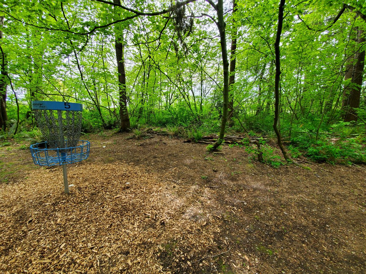 Hole 5 basket