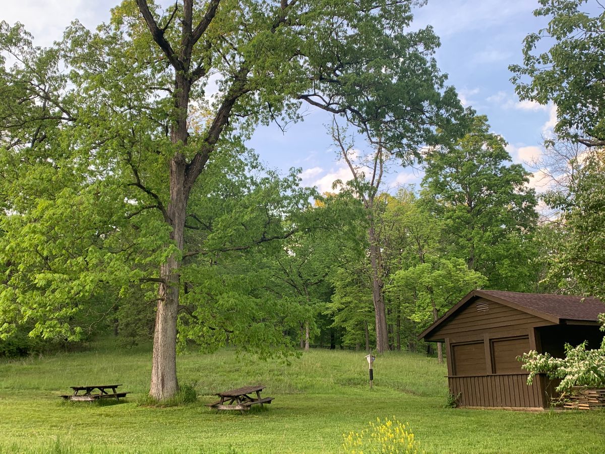 Shady oak cabin