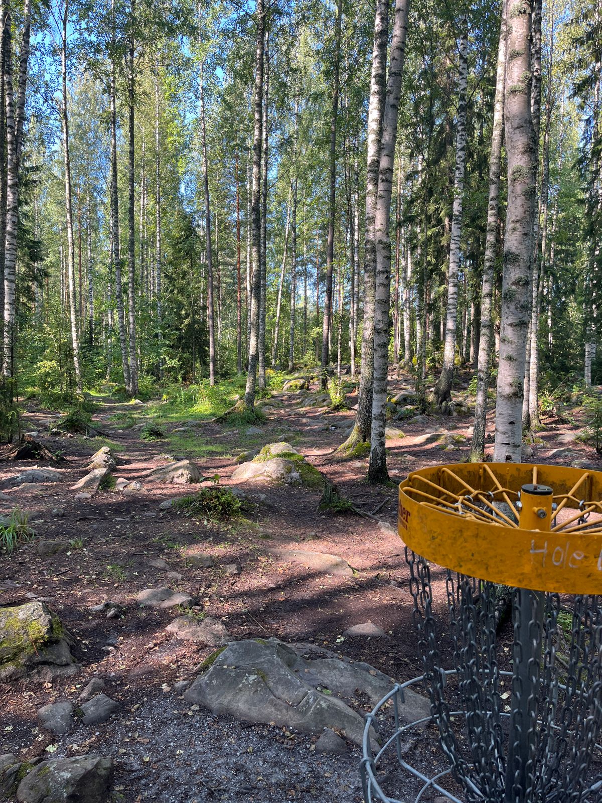 Hole 6,  basket to tee