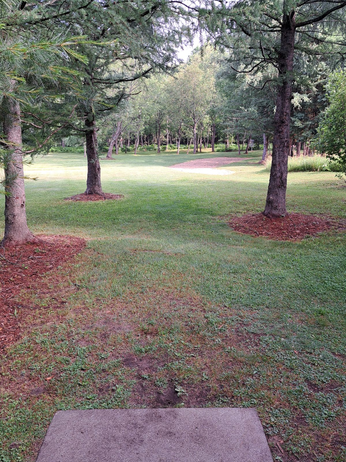Hole 5 what teepad