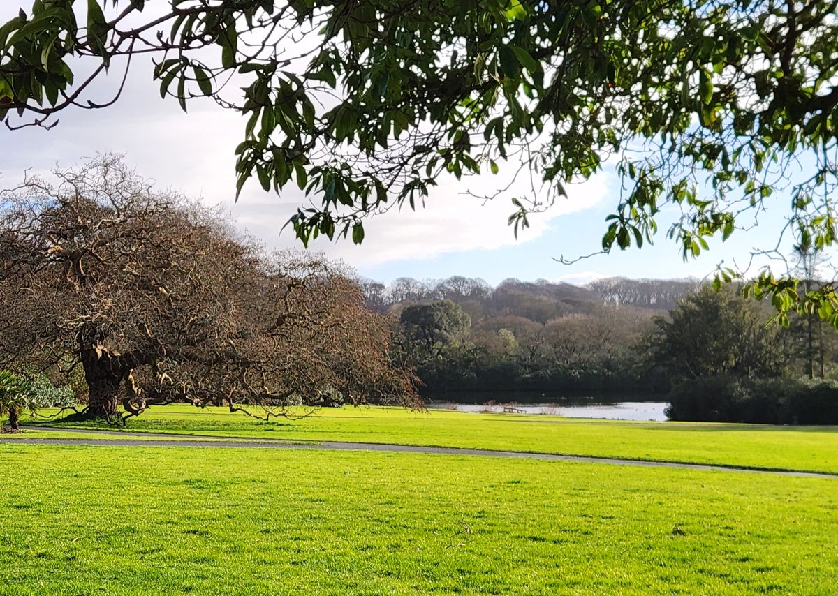 Looking from the tee pad of hole 5A of the Lakeview course layout.
