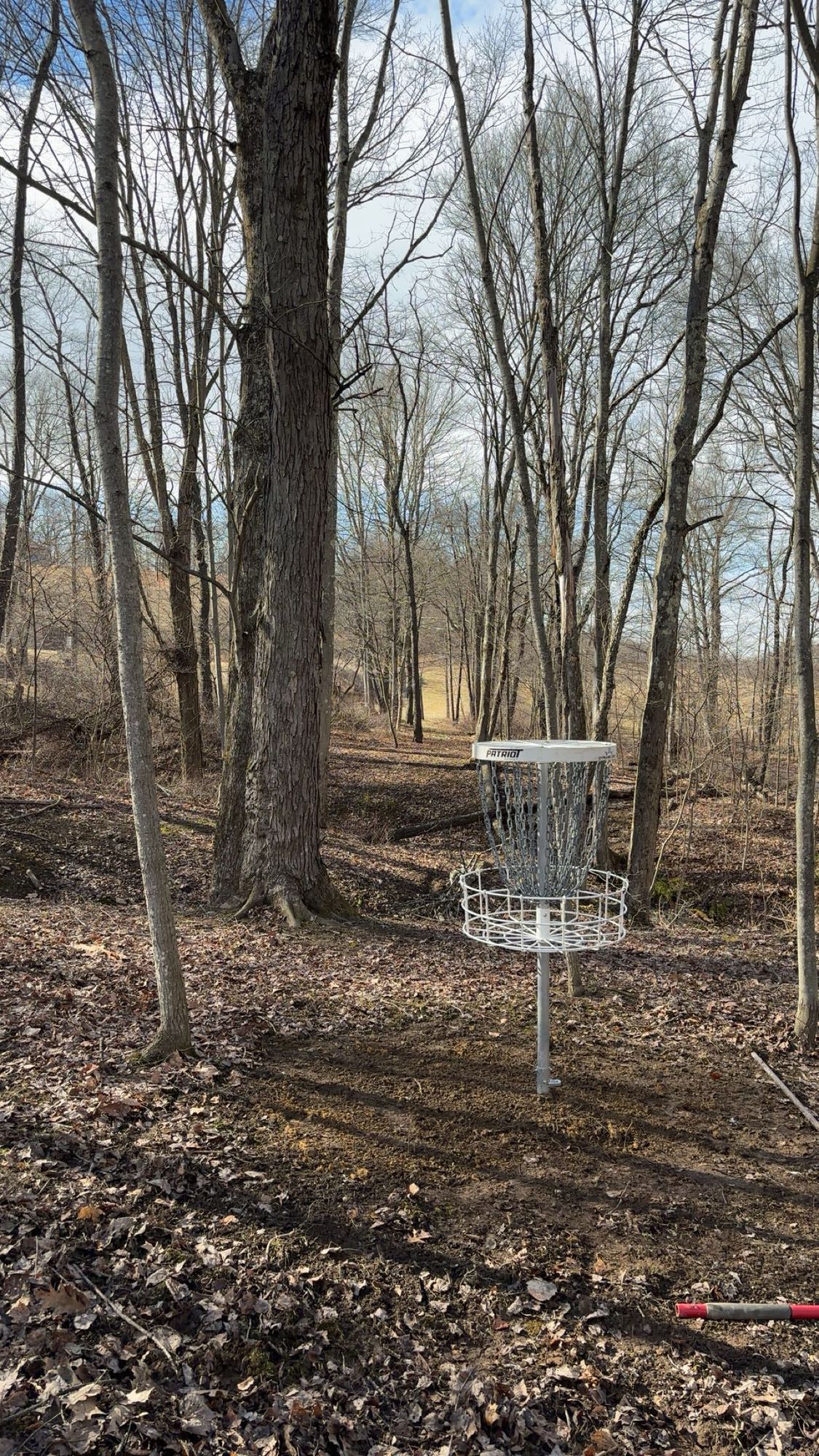 Hole 1s basket looking back the fairway