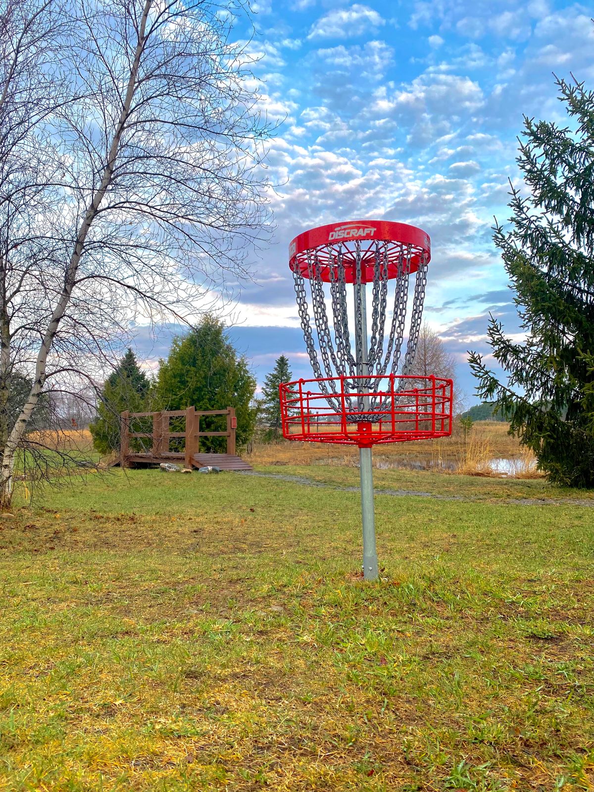 Hole One’s basket