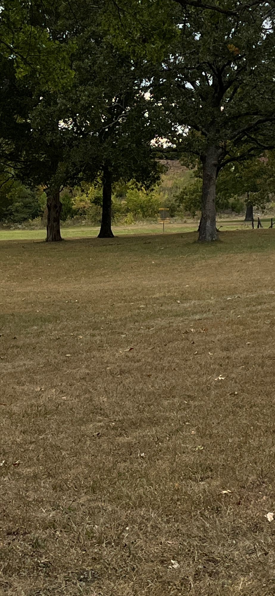 Hole 5 Tee