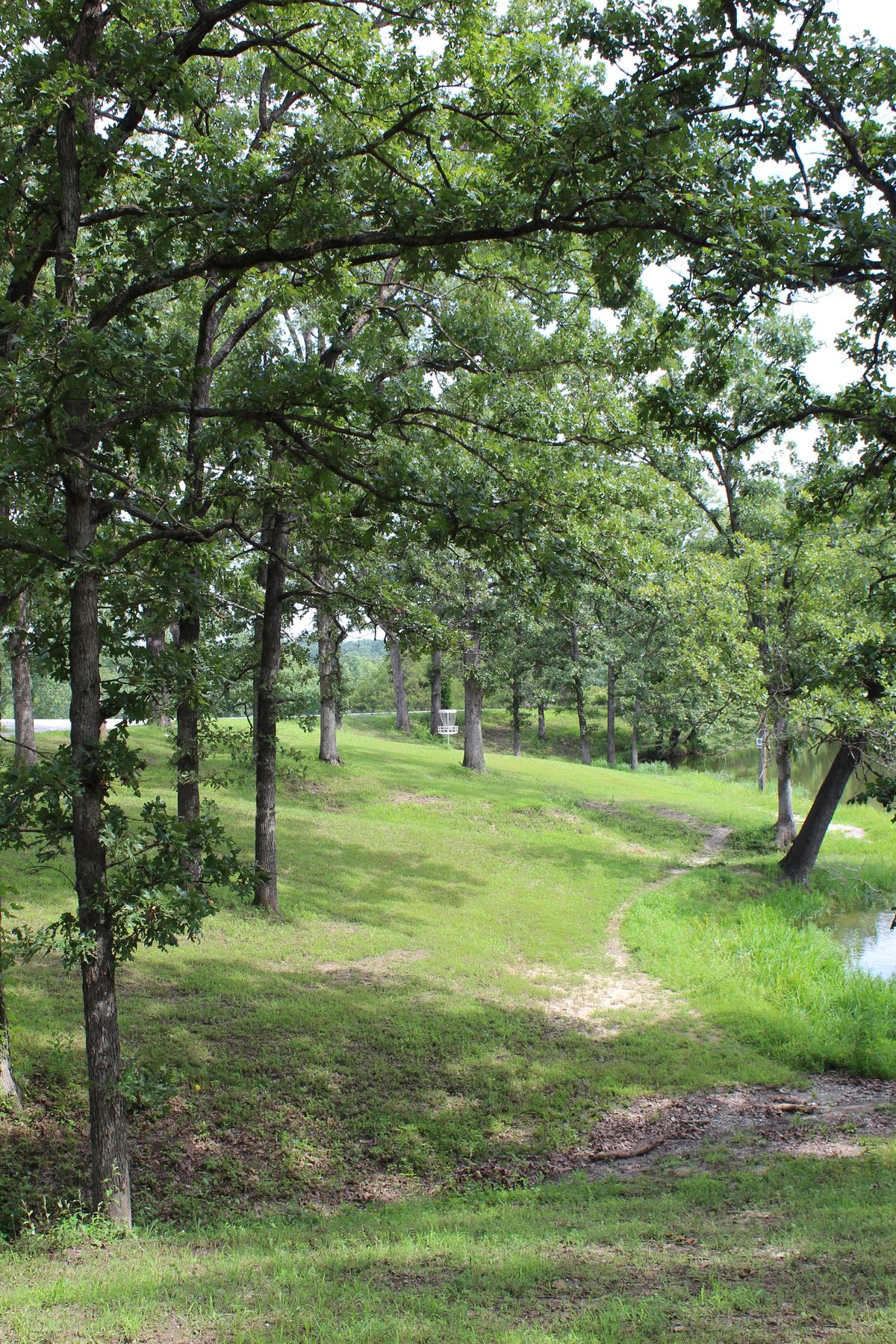 Hole 10 (Basket)