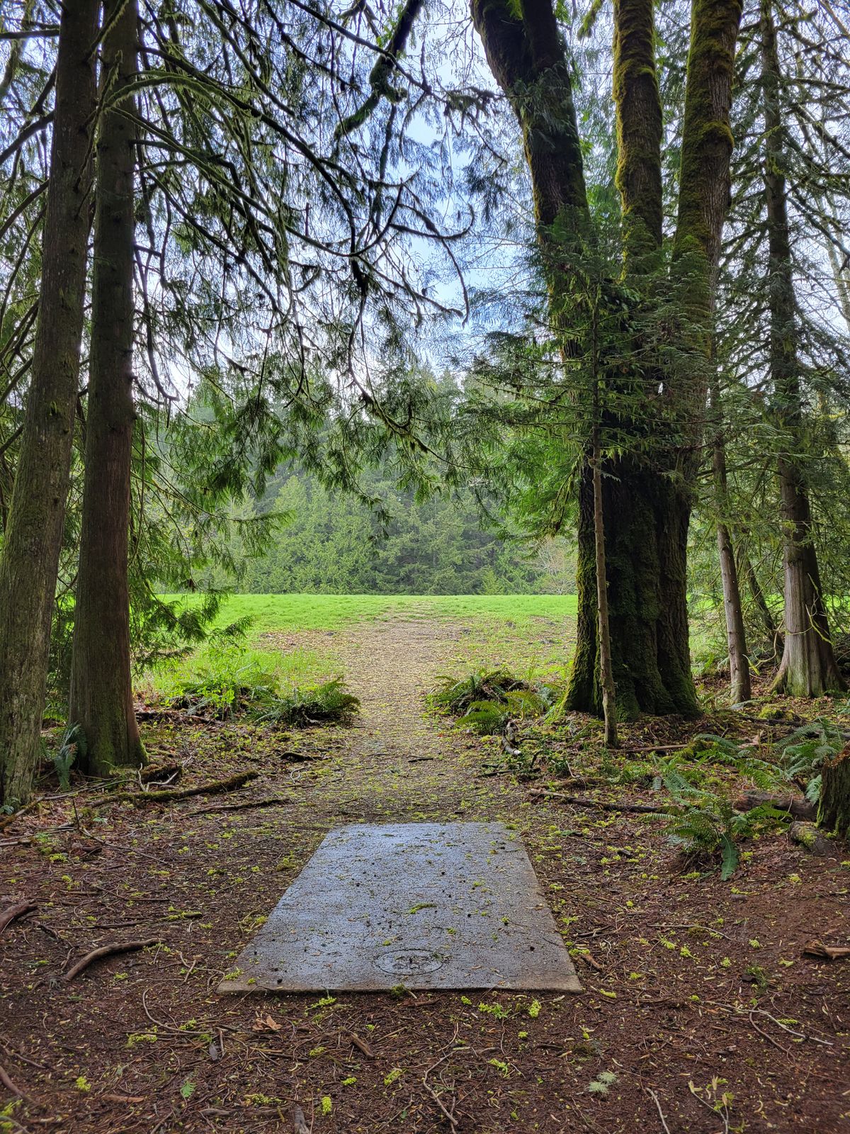 Hole 2 tee