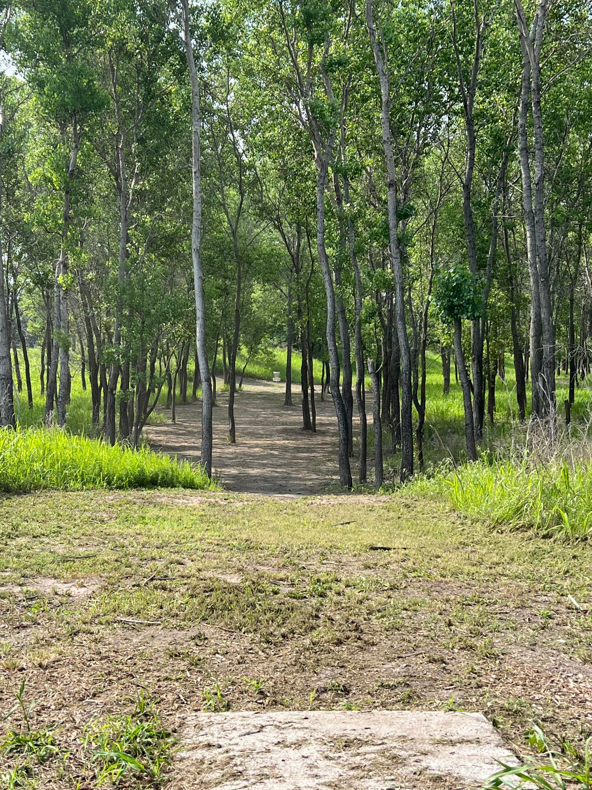 Hole 4